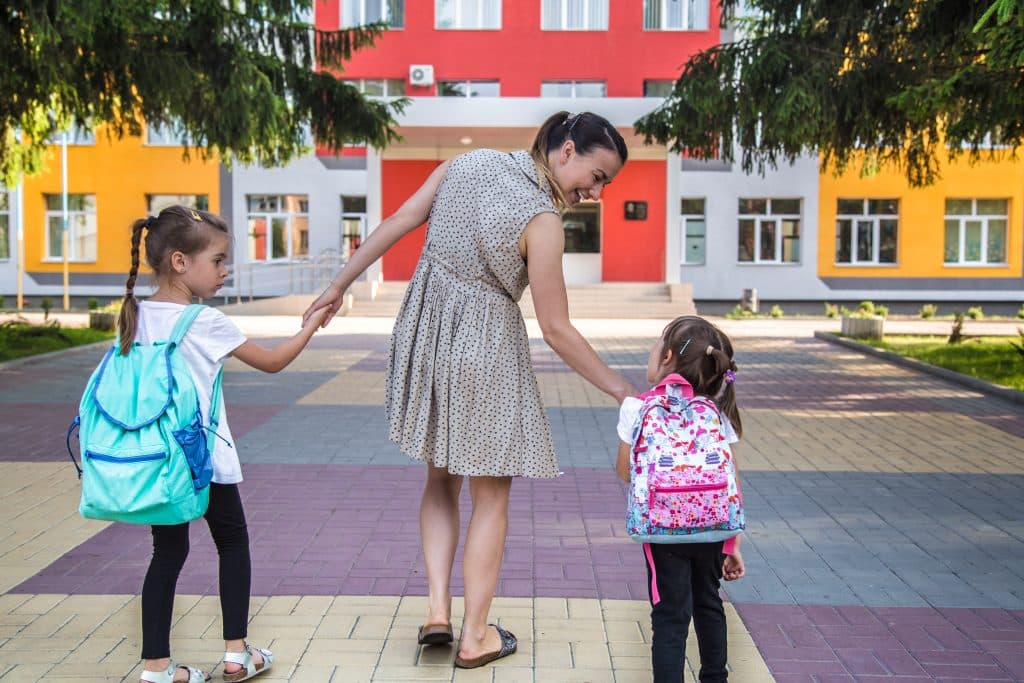 Policies supporting the merger of school districts for efficiency